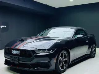 2024 Ford Mustang in Sharjah used car