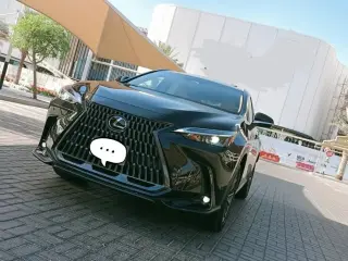 2025 Lexus NX in Sharjah used car